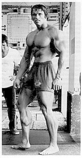 ארנולד שוורצנגר, Arnold Schwarzenegger, סטרואידים אנאבולים, הורמון גדילה, אנדרוגנים, טסטוסטרון, פיתוח גוף, שרירים וכושר, פיתוח גוף, פיתוח גוף מהיר, בבית, פיתוח גוף ותזונה, פיתוח גוף למתחילים, עליה במשקל, מסת שרירים, תוספי מזון, תוספי מזון לספורטאים,