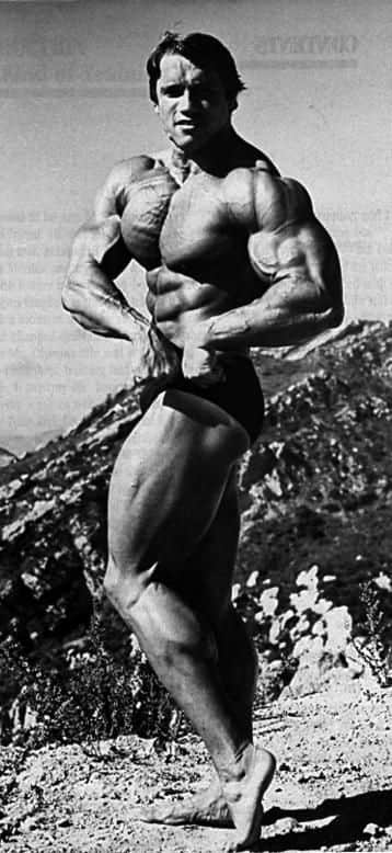 שרירן ארנולד שוורצנגר, Arnold Schwarzenegger, סטרואידים אנאבולים, הורמון גדילה, אנדרוגנים, טסטוסטרון, פיתוח גוף, שרירים וכושר, פיתוח גוף, פיתוח גוף מהיר, בבית, פיתוח גוף ותזונה, פיתוח גוף למתחילים, עליה במשקל, מסת שרירים, תוספי מזון, תוספי מזון לספורטאים,
