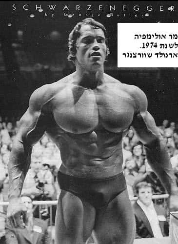 שרירן ארנולד שוורצנגר, Arnold Schwarzenegger, סטרואידים אנאבולים, הורמון גדילה, אנדרוגנים, טסטוסטרון, פיתוח גוף, שרירים וכושר, פיתוח גוף, פיתוח גוף מהיר, בבית, פיתוח גוף ותזונה, פיתוח גוף למתחילים, עליה במשקל, מסת שרירים, תוספי מזון, תוספי מזון לספורטאים,
