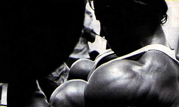 שרירן ארנולד שוורצנגר, Arnold Schwarzenegger, סטרואידים אנאבולים, הורמון גדילה, אנדרוגנים, טסטוסטרון, פיתוח גוף, שרירים וכושר, פיתוח גוף, פיתוח גוף מהיר, בבית, פיתוח גוף ותזונה, פיתוח גוף למתחילים, עליה במשקל, מסת שרירים, תוספי מזון, תוספי מזון לספורטאים,