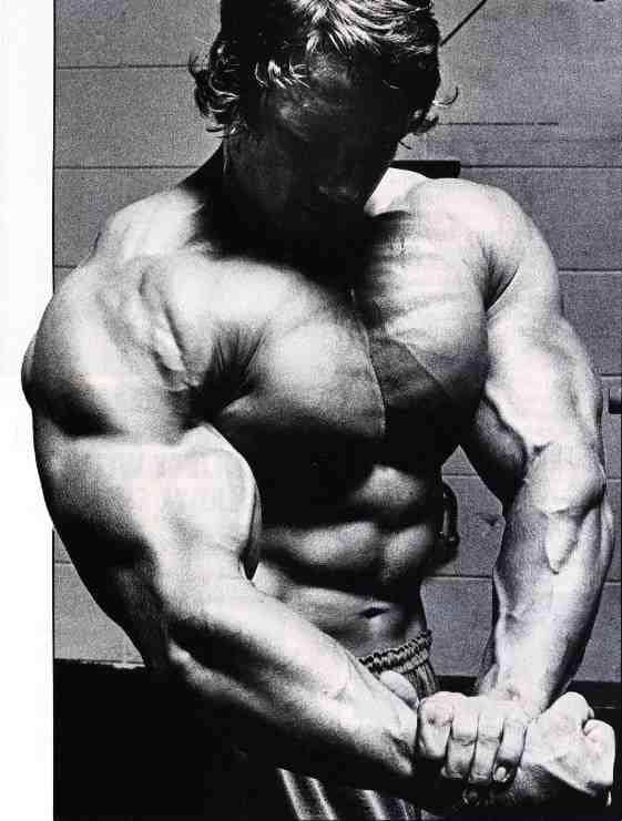 שרירן ארנולד שוורצנגר, Arnold Schwarzenegger, סטרואידים אנאבולים, הורמון גדילה, אנדרוגנים, טסטוסטרון, פיתוח גוף, שרירים וכושר, פיתוח גוף, פיתוח גוף מהיר, בבית, פיתוח גוף ותזונה, פיתוח גוף למתחילים, עליה במשקל, מסת שרירים, תוספי מזון, תוספי מזון לספורטאים,