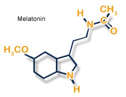 מלטונין (Melatonin)