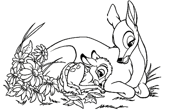 Shirlys Art, ילדים kids