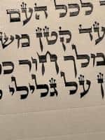 תמונה