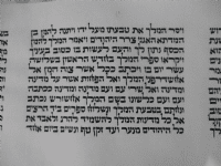 תמונה