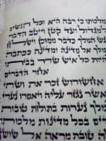 תמונה
