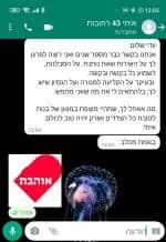 תמונה